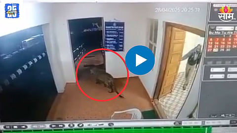 Leopard  Entered In Police Station