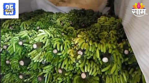 Banana Price