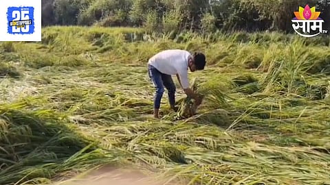 Bhandara Unseasonal Rain