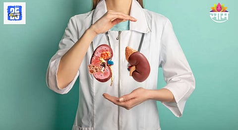 Foods that Damage Kidneys