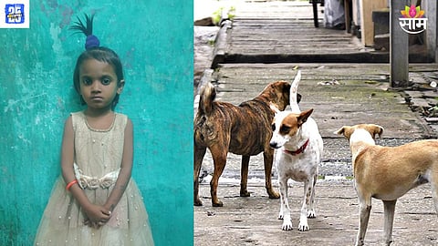 Jalna municipal negligence, stray dog control demand