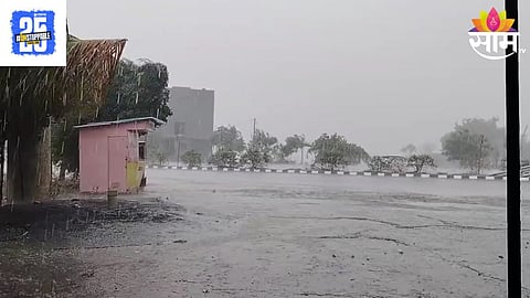 Maharashtra Unseasonal Rain