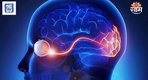Cerebral veins