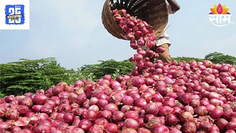 Onion 