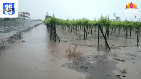 Nashik Unseasonal Rain