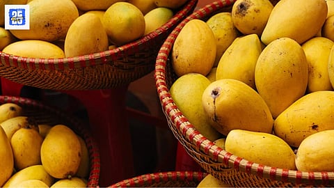 Mango
