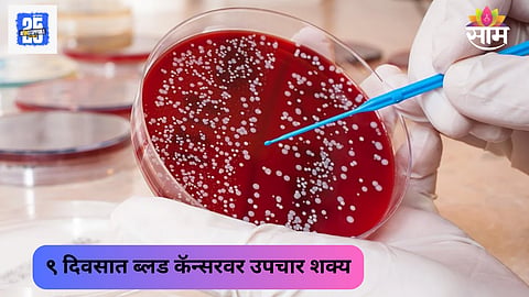 blood cancer cures