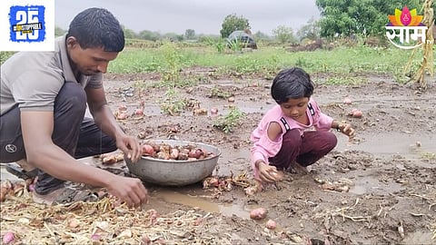 Beed Unseasonal Rain