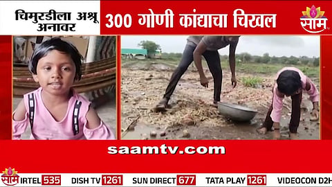 beed news