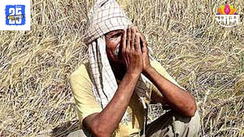शेतकऱ्यांसाठी आनंदाची बातमी, यापुढे माणसांप्रमाणे जमिनींसाठी मिळणार भू आधार क्रमांक; काय फायदा होणार?
