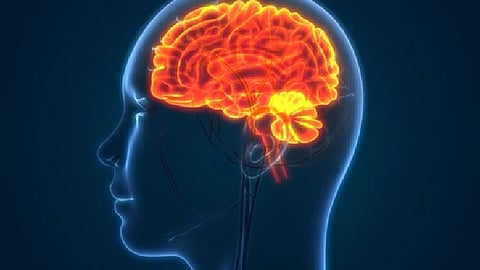 Swelling in brain nerves