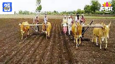 Agriculture News