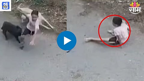 Shirur Dog Attack
