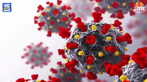 Corona Virus Update