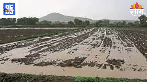 Marathwada Heavy Rain