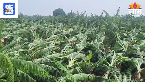 Akola Rain