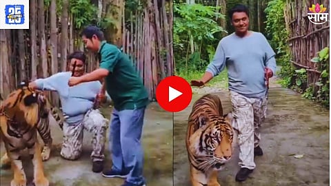Indian Man Attacked By Tiger