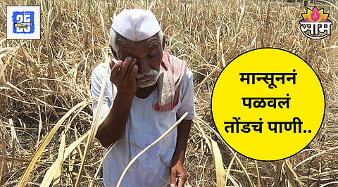 Maharashtra Rain Update
