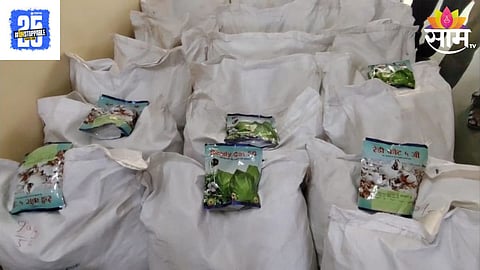 Bogus Cotton Seeds