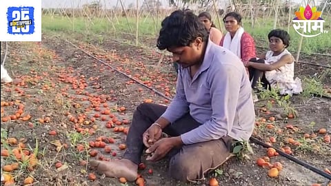 Beed News