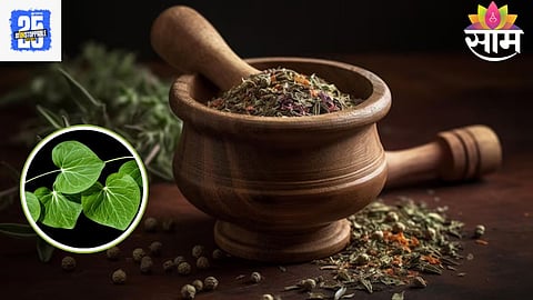Herbal Skincare