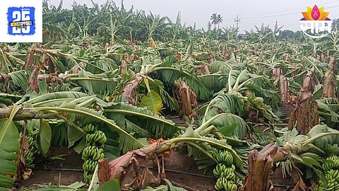 Nanded Rain