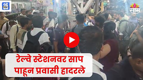 Snake spotted at Dombivli railway