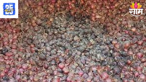 Onion Price