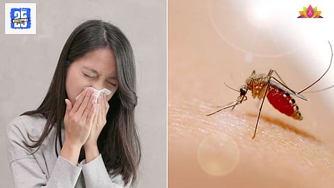 Dengue symptoms monsoon