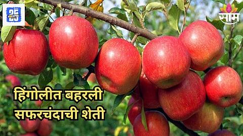 Hingoli Farmer