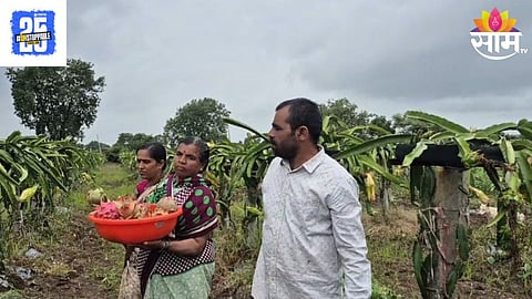 Dragan Fruit Farming