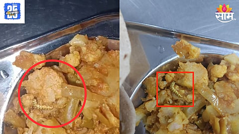 worms in food
