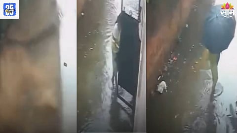 Shocking Viral Video