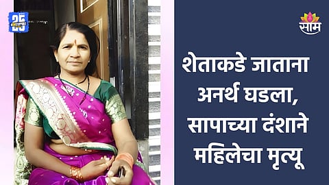 Akola: शेतात जाताना अनर्थ घडला, सापाचा दंशाने महिला शेतकऱ्याचा मृत्यू; १५ दिवसांतील दुसरी घटना 