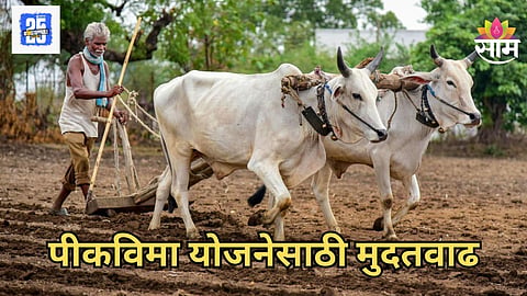Pik Vima Yojana