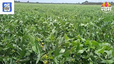 Agriculture News