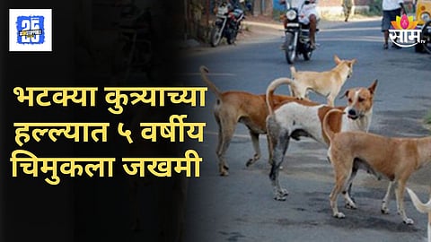 Jalgaon News 