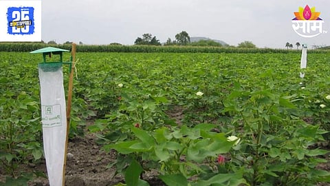 Agriculture News