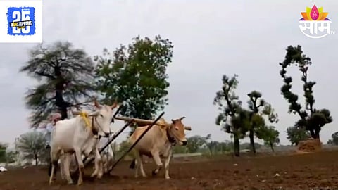 Maharashtra Budget 2026: मोठी बातमी! शेतकऱ्यांसाठी कर्जमाफीची घोषणा, पण किती रूपयांपर्यंत माफ? देवेंद्र फडणवीसांनी दिली सर्व माहिती