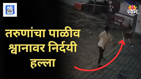 Pune Dog News : लाकडी फळीने आणि दगडाने कुत्र्याला मार मार मारलं, पुण्यातील संतापजनक व्हिडिओ व्हायरल