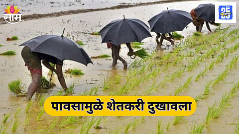 Marathwada Farmer