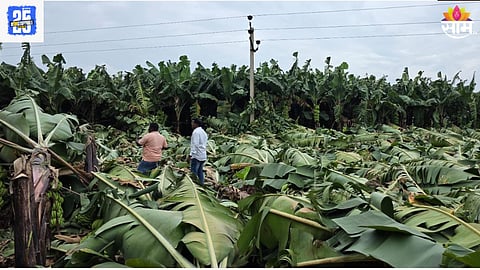 Marathwada Flood news 