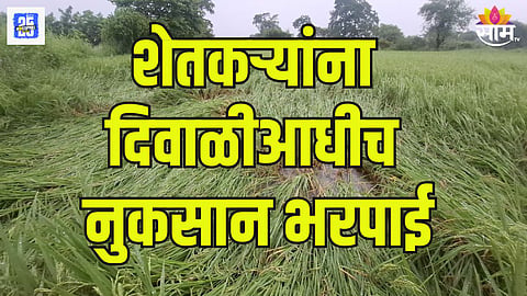 कल्याणमधील शेतकऱ्यांना दिवाळीआधीच नुकसान भरपाई