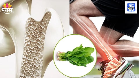 Simple Diet Tips to Keep Bones Healthy and Strong