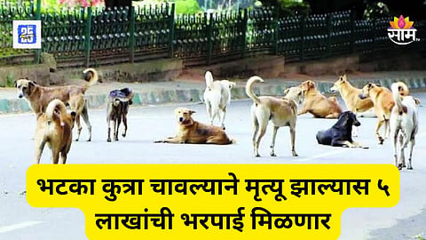 भटका कुत्रा चावल्याने मृत्यू झाल्यास पीडित कुटुंबीयांना मिळणार ५ लाखांची भरपाई, सरकारचा मोठा निर्णय