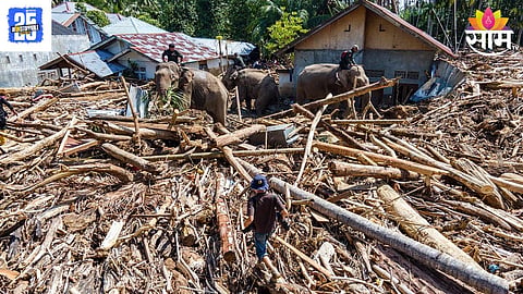 indonesia news 