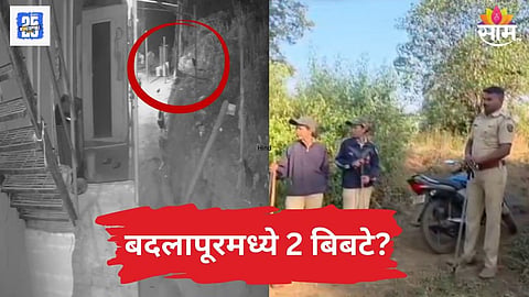 बदलापूरच्या आंबेशिव गावात बिबट्याचा वावर, एक नव्हे दोन-दोन बिबटे असल्याचा दावा