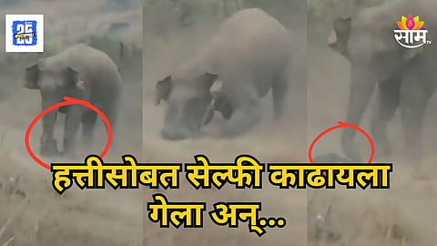 Viral Video : आधी पायाखाली चिरडलं, नंतर सोंडेने उचलून आपटलं; हत्तीसोबत सेल्फी घेणं तरुणाच्या जीवावर बेतलं