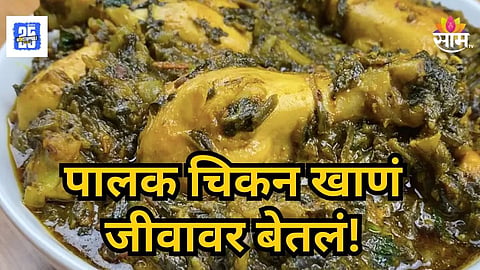 Shocking : पालक-चिकन खाल्ल्यामुळे एकाच कुटुंबातील तिघांचा मृत्यू, डॉक्टरांनी सांगितली नेमकी चूक