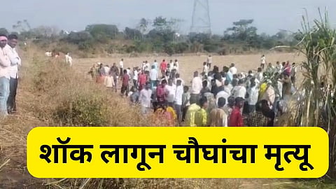 dharashiv news 
